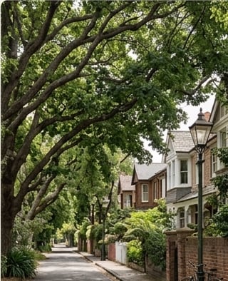 Leafy street scene, Northbridge